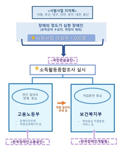 중증장애인 소득활동종합조사 시범사업 체계도.ⓒ보건복지부